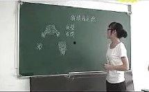 小学数学教师面试视频,精彩教学展示与互动解析