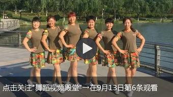 阿姨跳广场舞视频,活力四射，舞动人生