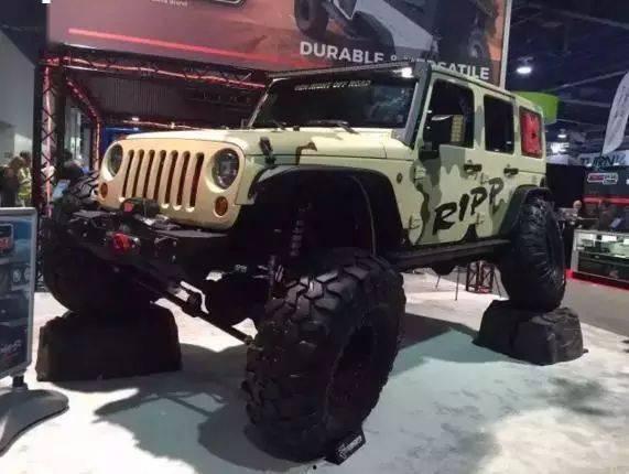 牧马人视频视频欣赏,探寻自然之美，感受野性魅力