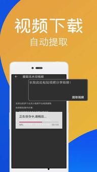 视频去水印永久免费版app,永久免费，轻松享受高清观影体验