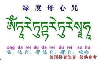 供养咒视频,揭示神秘咒语的力量与奥秘