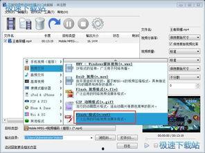 swf格式视频,重温经典动画的奥秘