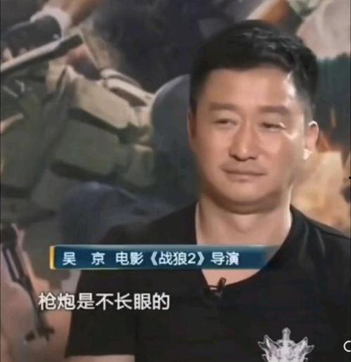 吴京最新采访视频,武术精神与电影梦想的交织之旅